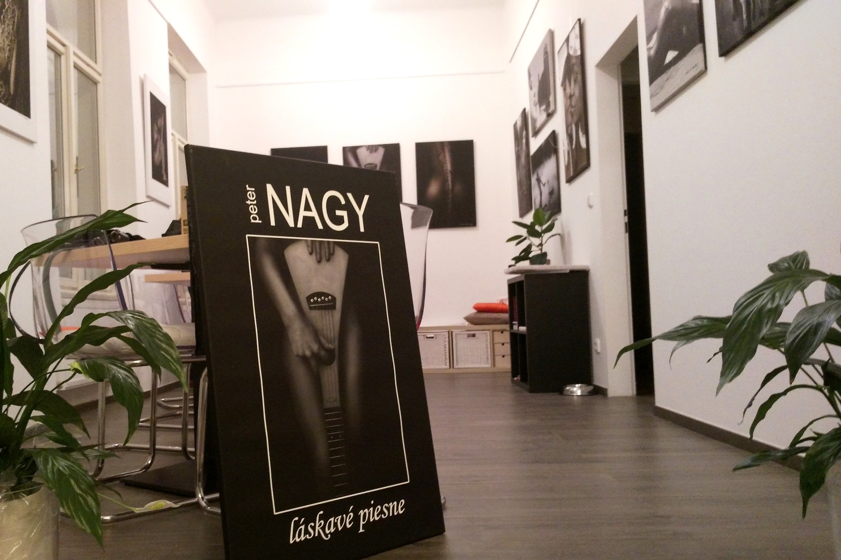 Instalace výstavy ve Vivien cafe  